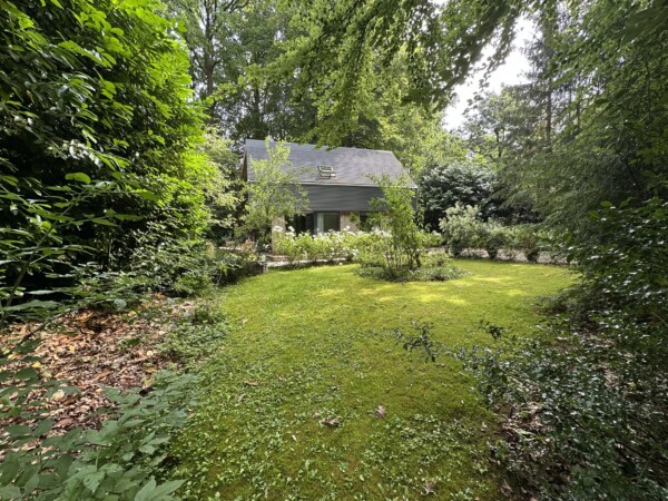 Tuin van Dorth31 aan de bosrand