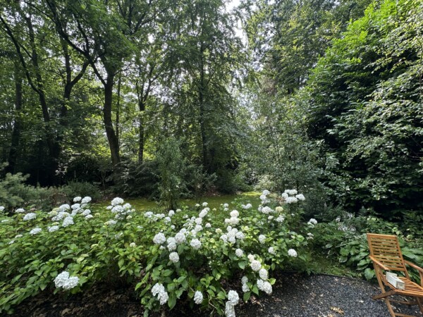 Tuin van vakantiewoning Dorth31